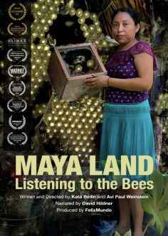 MAYA LAND – Listening to the Bees MAYA LAND - Listening to the Bees