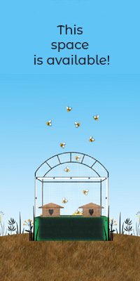 placeholder-200x400v